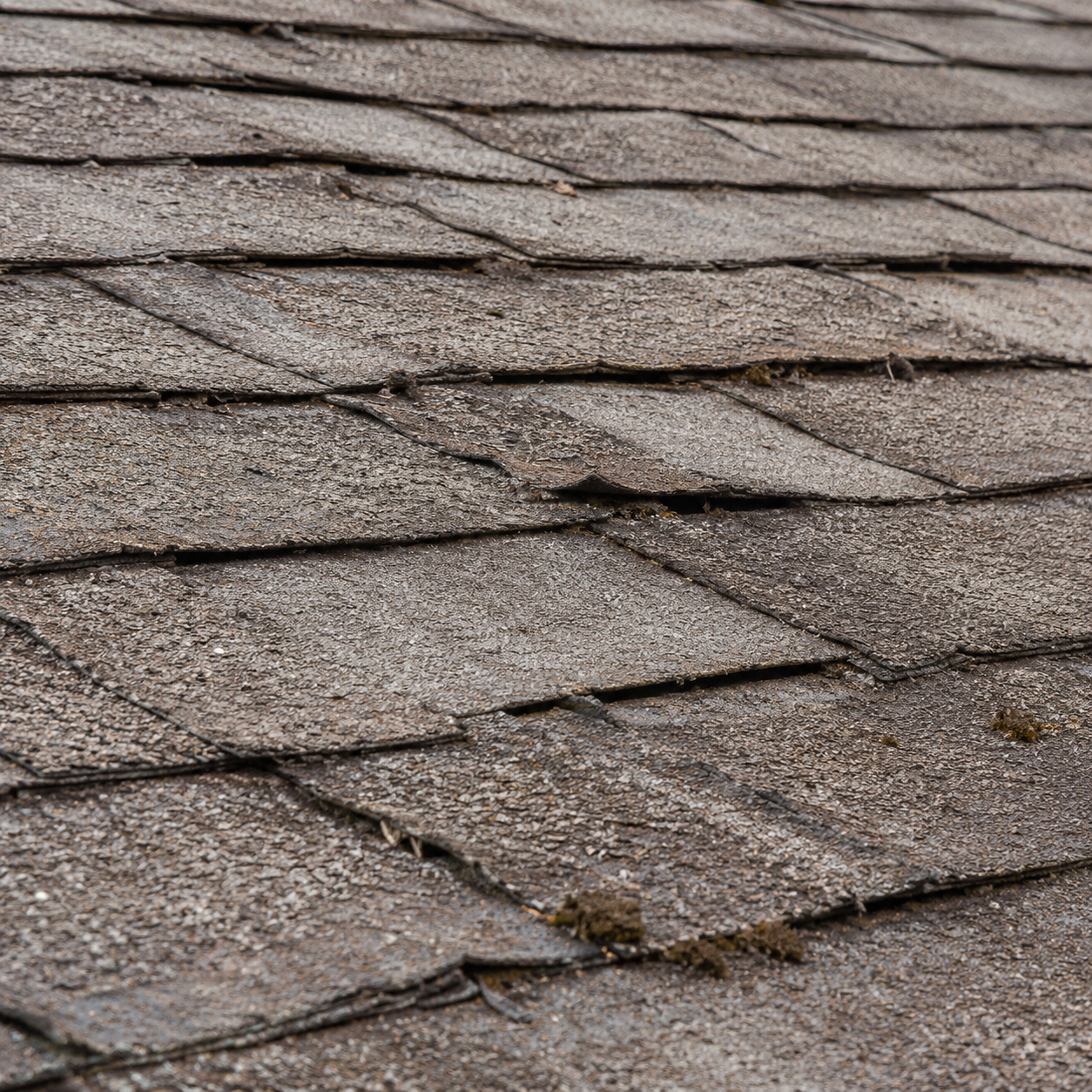 Close-up of aging asphalt shingles, dry, faded, and brittle before treatment
